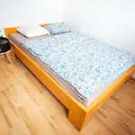 Beskid Penthouse * Milowka