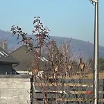 Beskid Penthouse