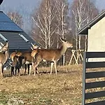 Beskid Penthouse