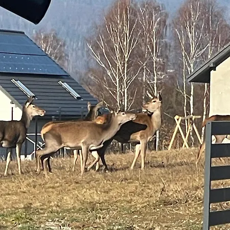 Beskid Penthouse Apartmán *