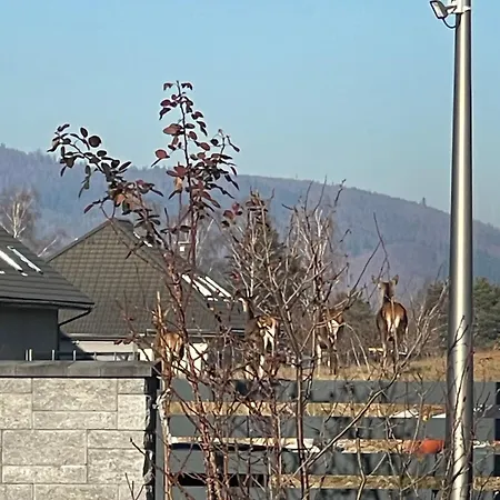 Beskid Penthouse
