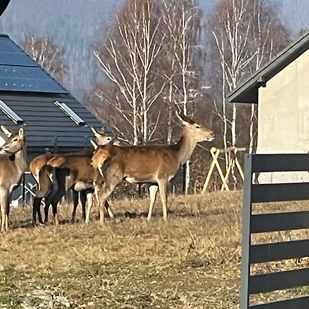 Beskid Penthouse