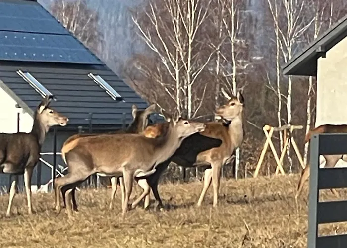 Beskid Penthouse Апартаменты *