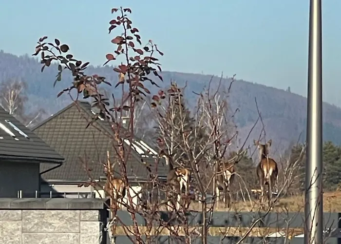 Beskid Penthouse